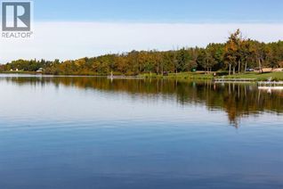 Land for Sale, 317 Minnewaukan Road, Tillicum Beach, AB