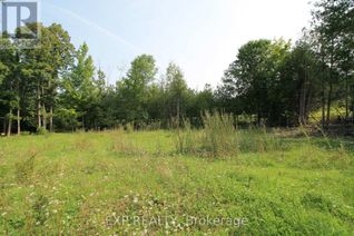 Land for Sale, 6906 Highway 41 Highway, Stone Mills (Stone Mills), ON Land for Sale, 6906 Highway 41 Highway, Stone Mills (Stone Mills), ON