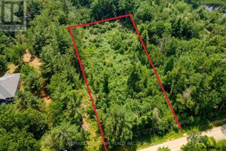 Commercial Land for Sale, 1979 Concession M-N Road, Ramara, ON