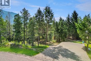 Commercial Land for Sale, Copper Point Way Lot# 60, Windermere, BC