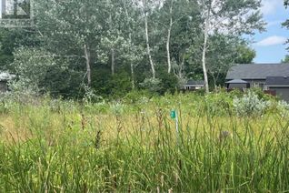 Property for Sale, 17 Dickhout Road, Haldimand (Dunnville), ON