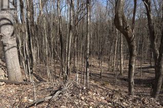 Land for Sale, 0 South Muskoka Drive, Bracebridge (Macaulay), ON