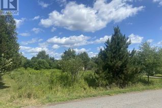 Commercial Land for Sale, Lot 24 Old Court House Branch Road, Murray Siding, NS Commercial Land for Sale, Lot 24 Old Court House Branch Road, Murray Siding, NS