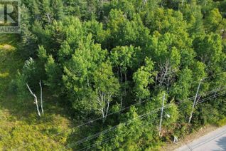 Property for Sale, Lot 10 Lingan Road, River Ryan, NS