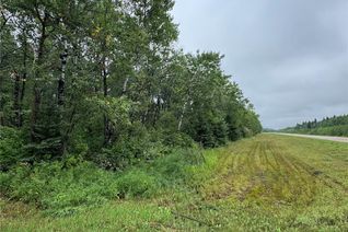 Commercial Land for Sale, Kerlak Cabin Retreat Acres, Hudson Bay Rm No. 394, SK