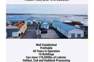 Other Business for Sale, 81-89 Daniels Head Road, SOSD, NS