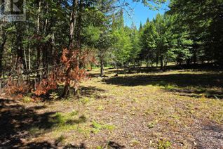 Commercial Land for Sale, 00 Whitney Road, Perry, ON