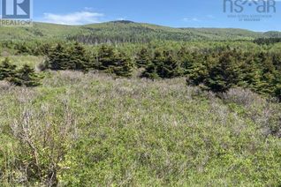 Commercial Land for Sale, Cabot Trail, Cap Le Moine, NS