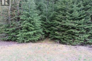 Property for Sale, Lot B 3 Highway, Salmo, BC