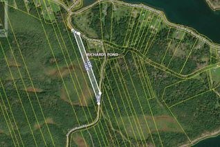 Property for Sale, Richards Pond Road, River Bourgeois, NS