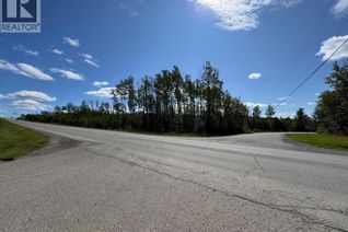 Property for Sale, Lot 2 Highway 29, Charlie Lake, BC