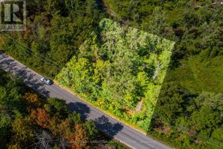Land for Sale, Pt Lot 36 Edwina Drive, Trent Lakes, ON Land for Sale, Pt Lot 36 Edwina Drive, Trent Lakes, ON