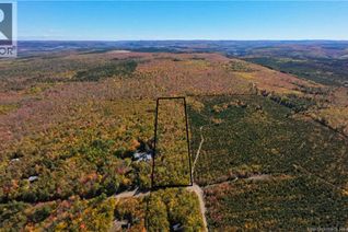 Property for Sale, Na Green Road, Elgin, NB