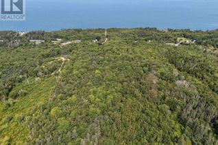 Land for Sale, Lot Highway 101, Plympton, NS Land for Sale, Lot Highway 101, Plympton, NS