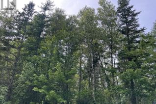 Property for Sale, Rte 12 Tyne Valley, Tyne Valley, PE