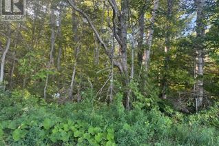 Property for Sale, 2832 Rte 14, Glenwood, PE Property for Sale, 2832 Rte 14, Glenwood, PE