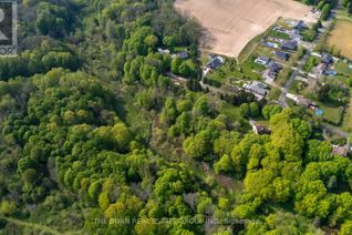 Land for Sale, 4385 Thomas Road, Southwold, ON Land for Sale, 4385 Thomas Road, Southwold, ON