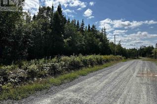 Commercial Land for Sale, Blaze Road, Loch Lomond, NS Commercial Land for Sale, Blaze Road, Loch Lomond, NS