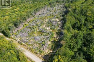 Land for Sale, Lot Second Division Road, Meteghan, NS