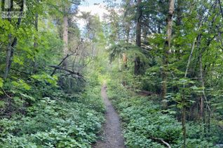 Commercial Land for Sale, 3b Highway Lot# 3, Rossland, BC