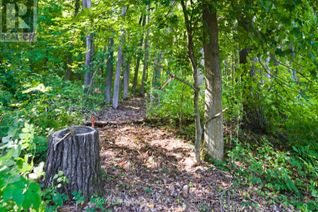 Property for Sale, 0 Pinewood School Road, Cramahe, ON