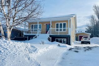 House for Sale, 46 B Marshalls Drive, Bishop's Falls, NL