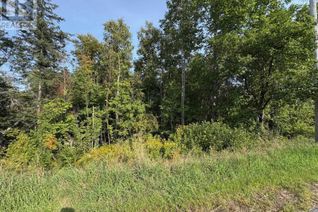 Property for Sale, Thorburn Road, Thorburn, NS
