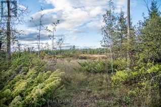 Commercial Land for Sale, 254-256 Mcguire Beach Road, Kawartha Lakes (Carden), ON
