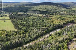 Land for Sale, West Side Middle River Road, Middle River, NS