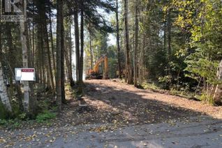 Land for Sale, 2413 Scott Dr, MCGREGOR SHUNIAH, ON Land for Sale, 2413 Scott Dr, MCGREGOR SHUNIAH, ON