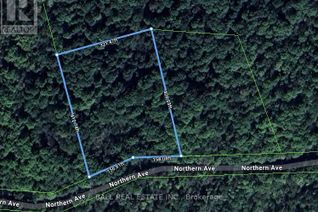 Land for Sale, 0 Northern Avenue, Trent Lakes, ON