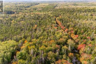 Property for Sale, Burridge Road, Mayflower, NS Property for Sale, Burridge Road, Mayflower, NS