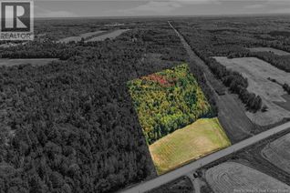 Property for Sale, Tbd Route 115, McKees Mills, NB