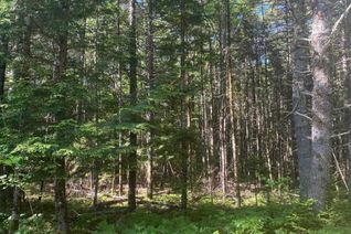 Property for Sale, Lot (Pid 60493061) Huey Lake Road, Mount Pleasant, NS