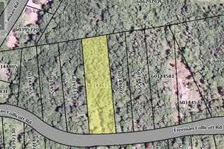 Commercial Land for Sale, 41 Freeman Collicutt Road, Canaan, NS