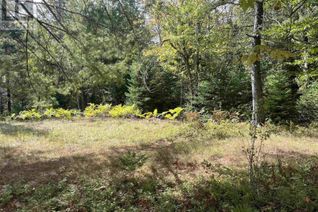 Property for Sale, Block A Highway 325, West Clifford, NS