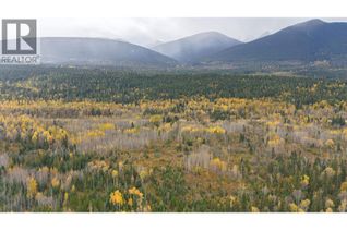 Land for Sale, 7054 W 16 Highway #DL, McBride, BC