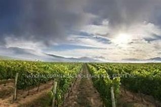 Commercial Farm for Sale, 44-55 Niagara Stone Road N, Niagara-on-the-Lake (Rural), ON