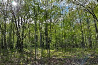 Vacant Residential Land for Sale, Lot 7 Casson Trl, Madawaska Valley, ON