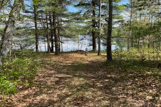 Vacant Residential Land for Sale, Lot 15 Sandy Shores Trl, Madawaska Valley, ON