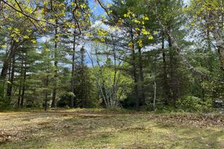 Vacant Residential Land for Sale, Lot 37 Sandy Shores Trl, Madawaska Valley, ON