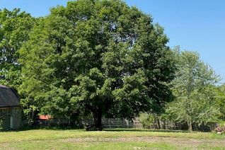 Land for Sale, Part #2 Ontario St, Cramahe, ON Land for Sale, Part #2 Ontario St, Cramahe, ON