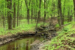 Vacant Residential Land for Sale, Lot 1 Colonial Rd, Minden Hills, ON