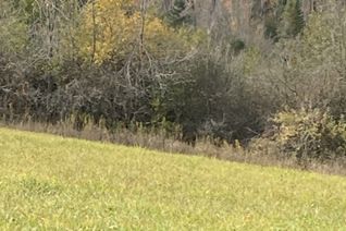 Vacant Residential Land for Sale, 323 Orange Corners Rd, Kawartha Lakes, ON