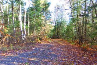 Vacant Residential Land for Sale, Pt Lt 2 Con 4 McFadden Line, Parry Sound Remote Area, ON