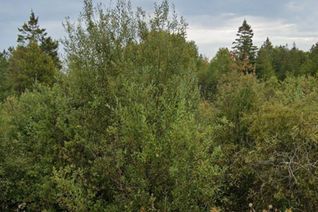 Vacant Residential Land for Sale, 2 Cherry hill Rd, Northern Bruce Peninsula, ON