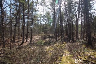 Vacant Residential Land for Sale, LOT 15 Concession 9 N/A, Trent Lakes, ON