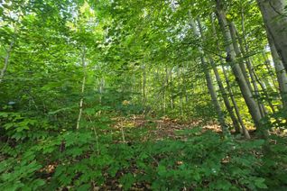 Vacant Residential Land for Sale, 126 Old Highway 26 Hwy, Meaford, ON