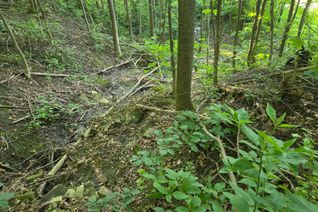Vacant Residential Land for Sale, 130 Old Highway 26 Hwy, Meaford, ON