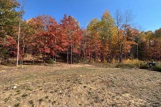 Vacant Residential Land for Sale, Lot 40, 00 Yantha Cres, Madawaska Valley, ON